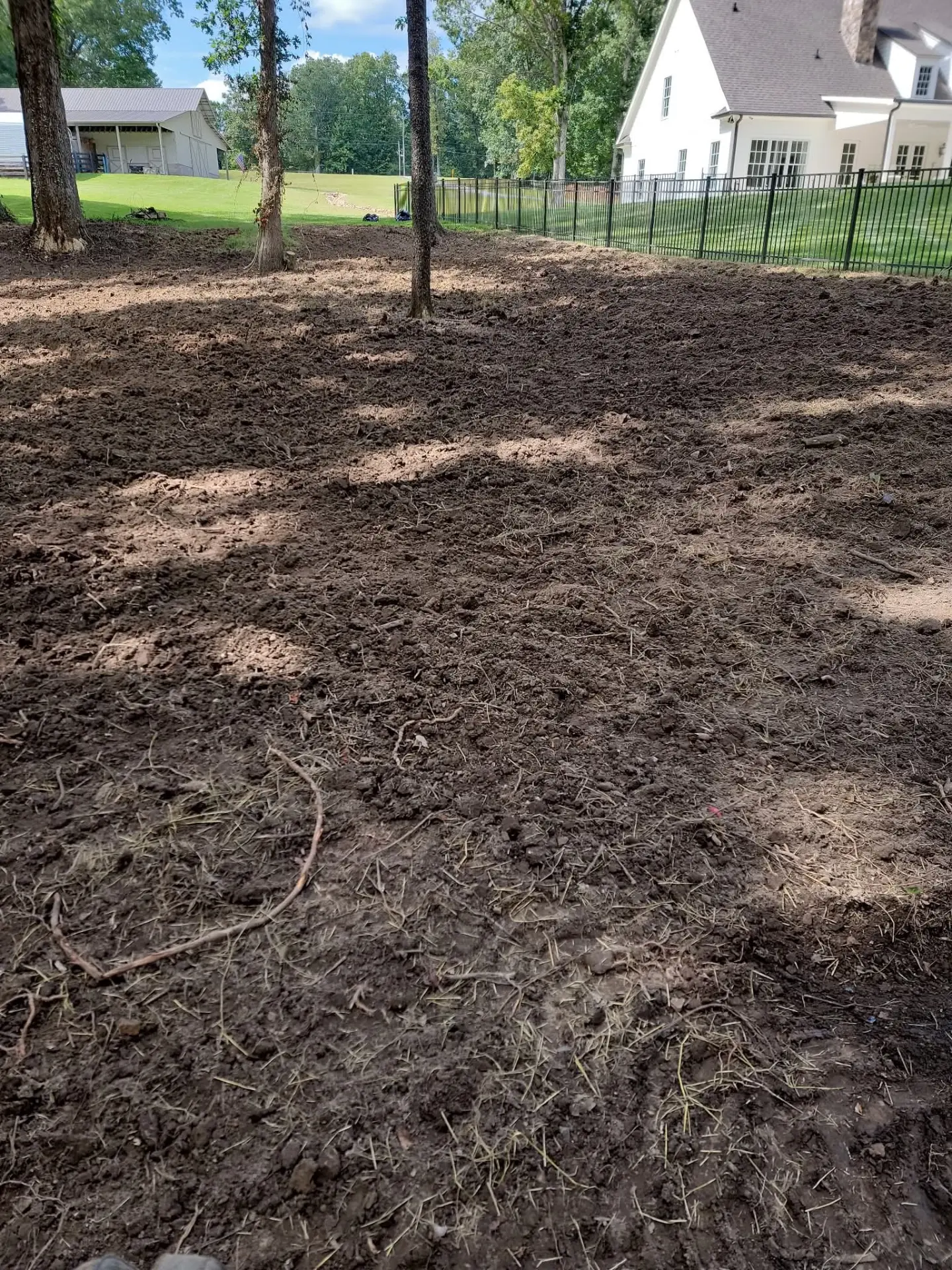 Tilled and graded backyard soil under shade trees beside a white house
