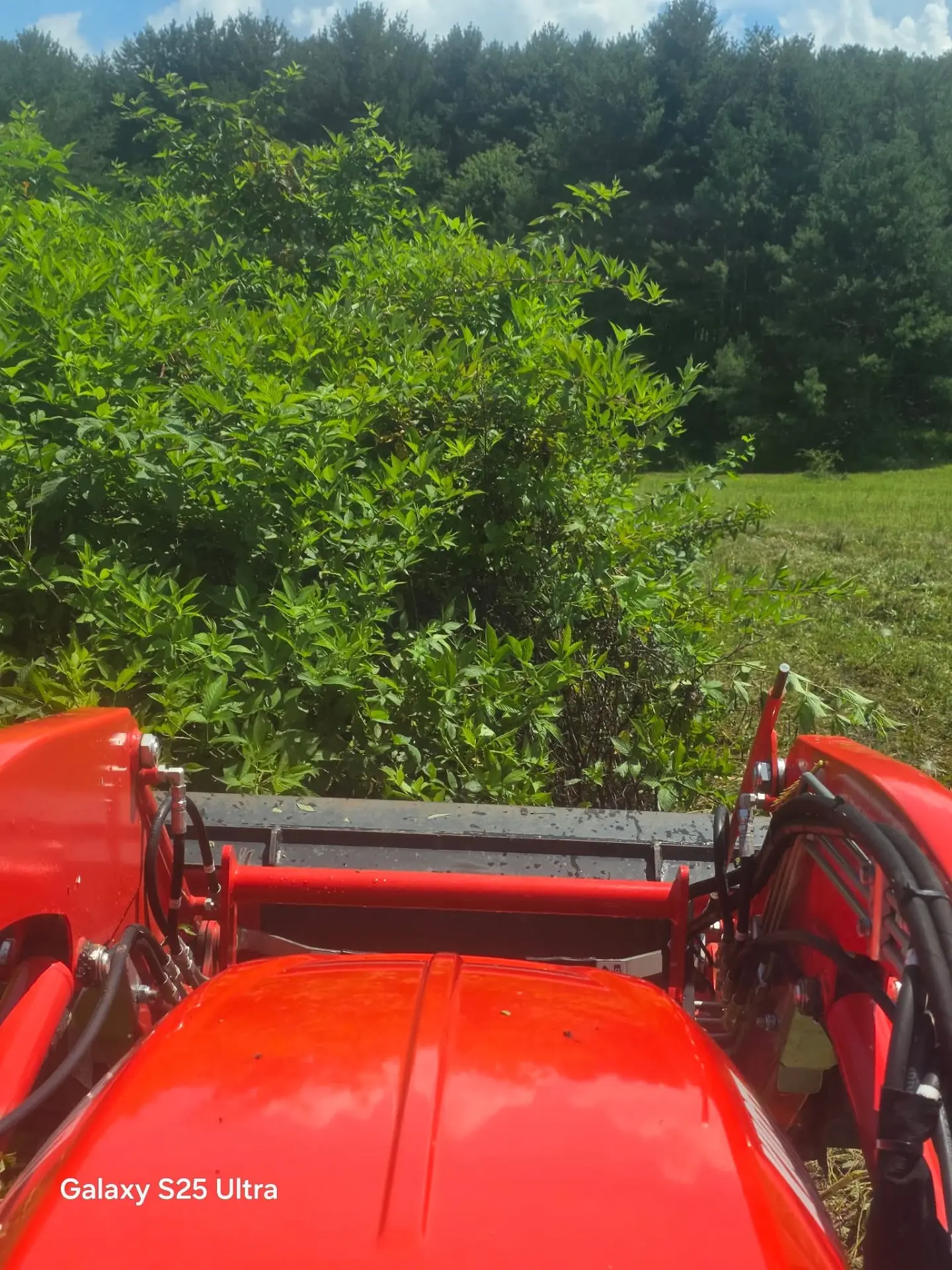Red compact tractor with flail mower cutting back thick brush and overgrowth