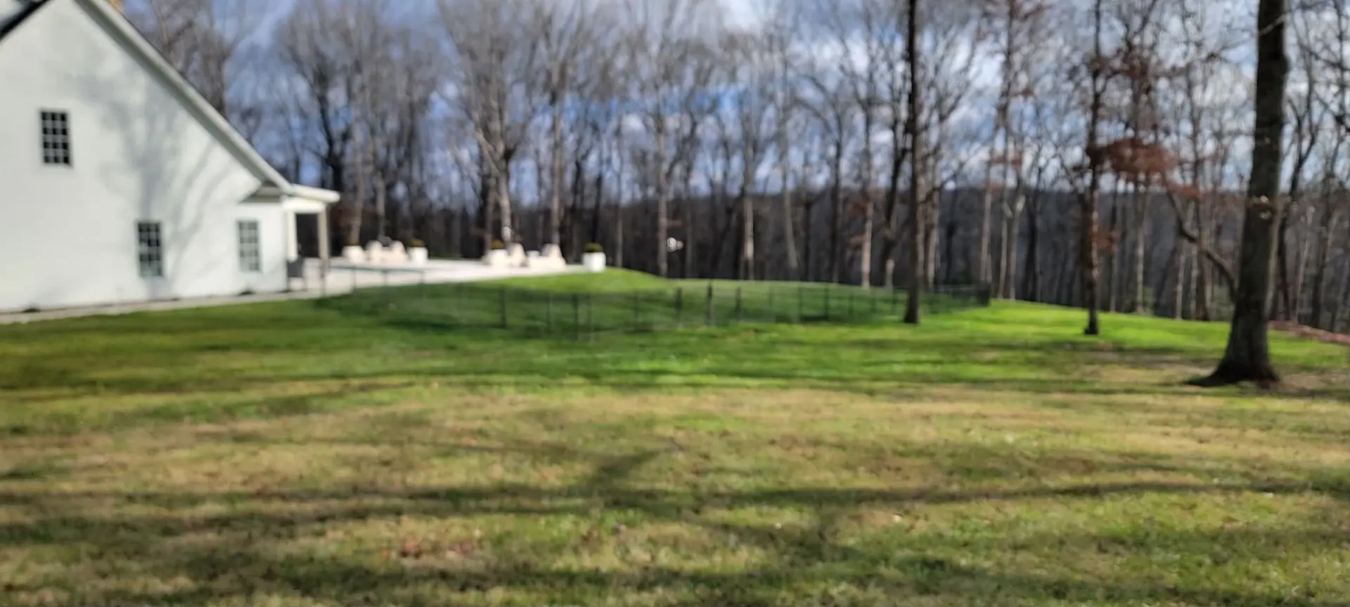 Established green lawn around a white home on a wooded property