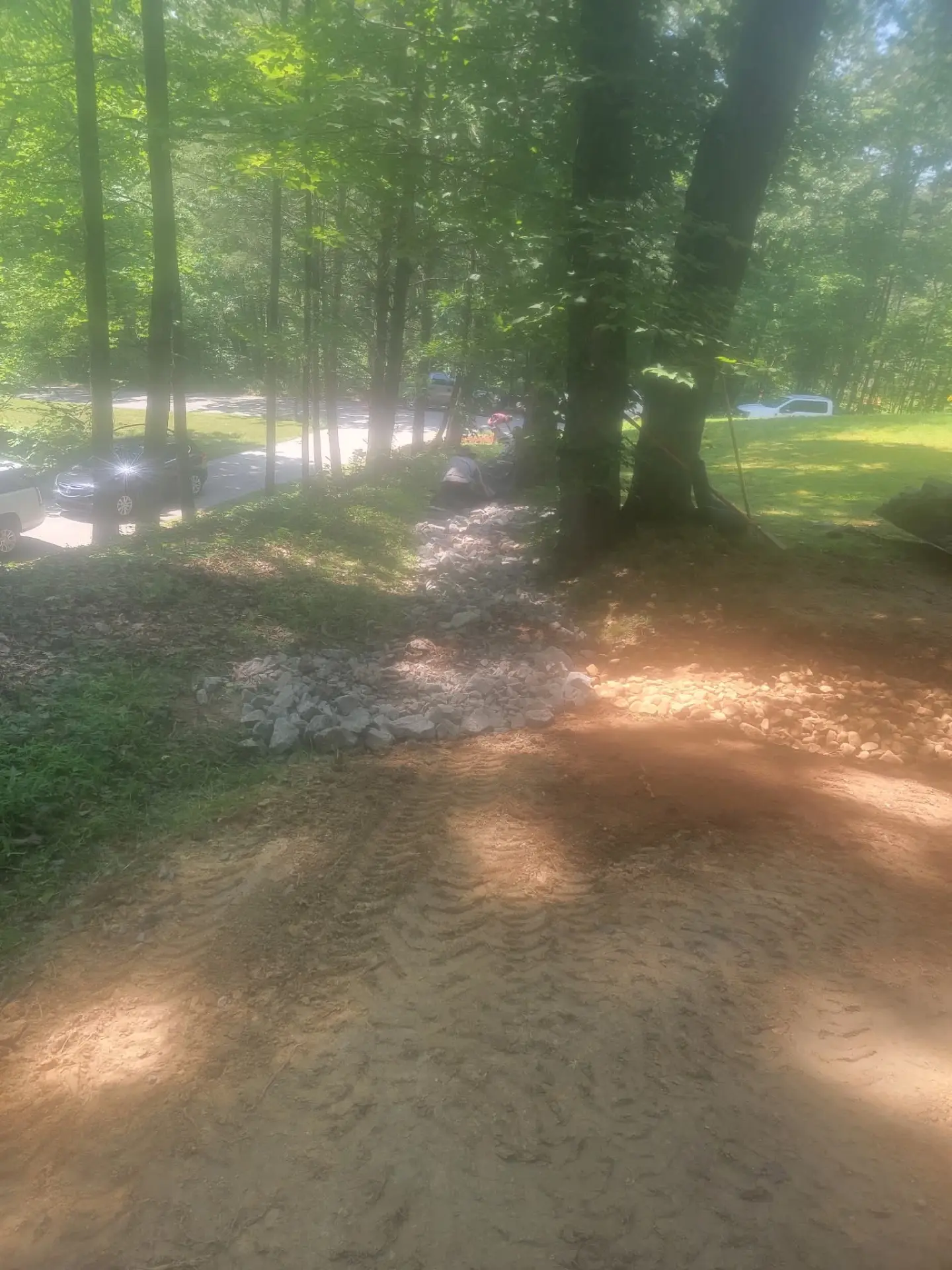Rock-lined drainage swale through a wooded yard