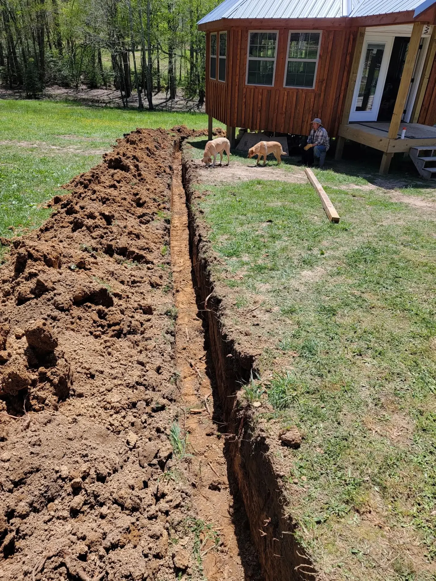 Long straight trench across a lawn toward a cabin with dogs nearby